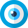 eidv-personator-identity
