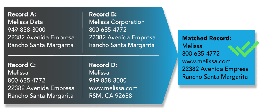 mek-record