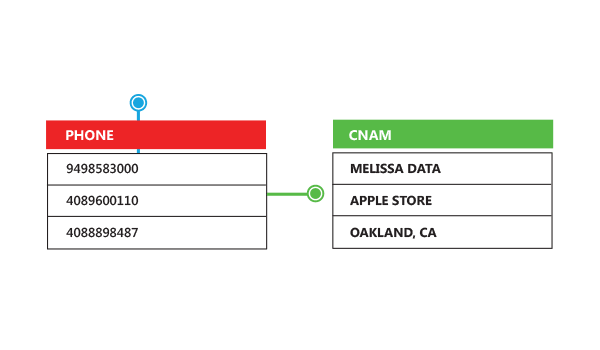 phone-verification-caller-id-data