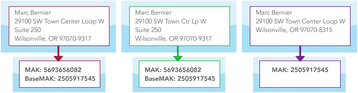 MAK Technology allows you to Accurately Match, Household and Dedupe Records