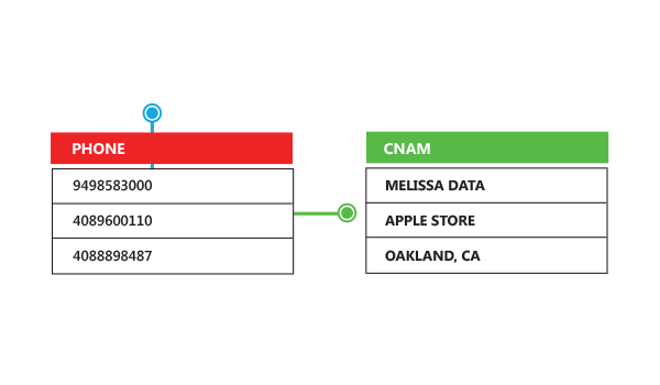 Verificador de números telefónicos - Datos del identificador de llamadas