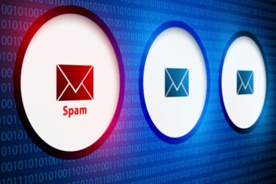 Email Verification - Spamtrap Email Verification - Privacy Flag