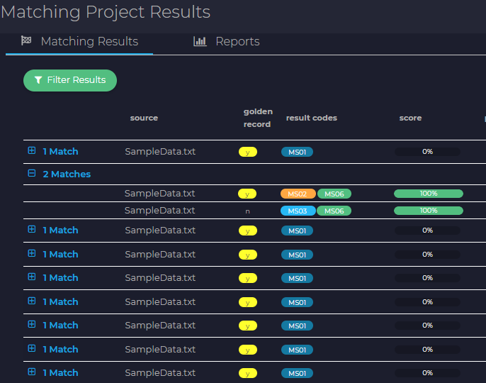 Customer Data Management(CDM) - Intuitive Matching GUI