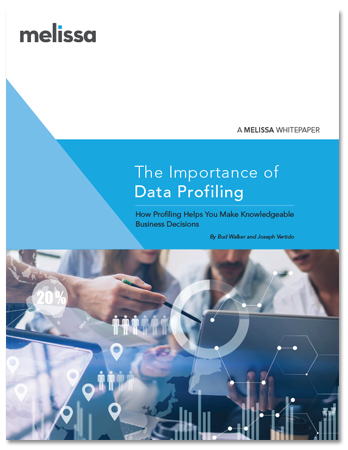 White Paper - The Importance of Data Profiling 