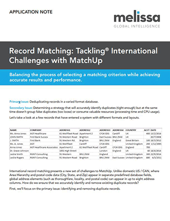 Record Matching: Tackling International Challenges with MatchUp - Application Note